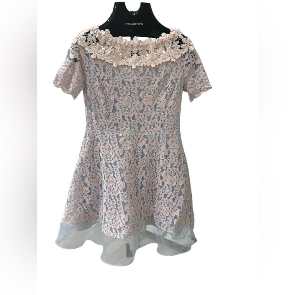 Elegant Floral Lace Dress with Sheer Hem and Flower Appliqué Details